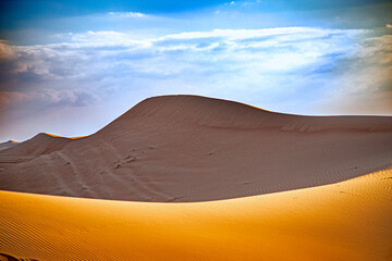 Fototapeta na wymiar emirates desert and camels in dubai