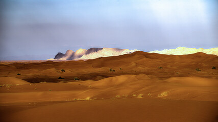 Fototapeta na wymiar emirates desert and camels in dubai