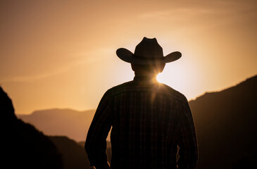 Silhouette of adult man in cowboy hat against mountain and sky during sunset