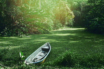 Abandoned old boat with shovel inside hidden in the forest swamp