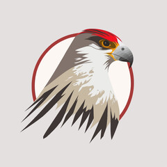 Bird Logo abstract design. Vector illustration on a light background