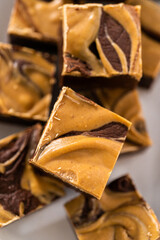 Chocolate fudge with peanut butter swirl