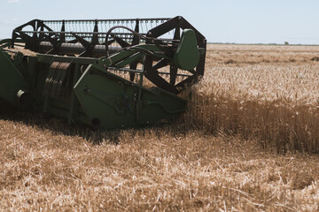 Fototapeta premium Big combine harvesting wheat in a field