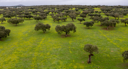 drone view of industrial agriculture contryside in Spain