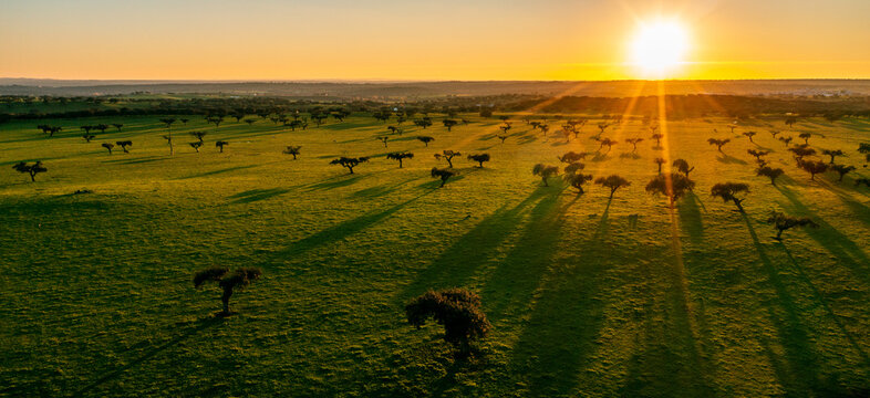 drone view of industrial agriculture landscape in Portugal Alentejo