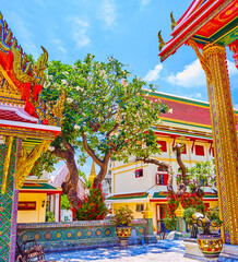 The shady garden in courtyard of Wat Ratchabophit temple, Bangkok, Thailand