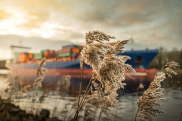 Nord Ostsee Kanal, Containerschiff im NOK. Sonnenuntergang am Kiel Kanal. Der Kanal verläuft durch...