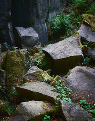 moosbedeckte große Basalt Blöcke liegen am Gruben Boden in Ettringen in der Vulkaneifel