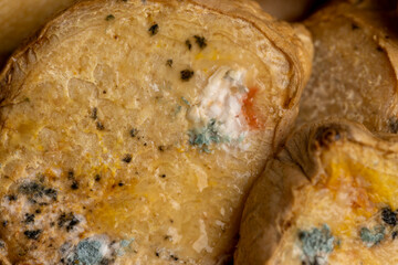 Spoiled and covered with mold sliced ginger