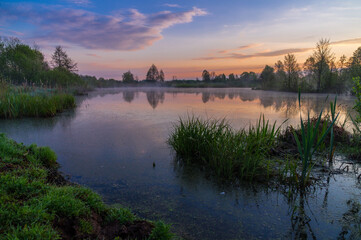 Obraz premium reflection of trees in water