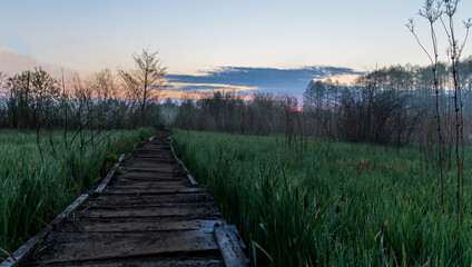 Obraz premium wooden bridge over lake