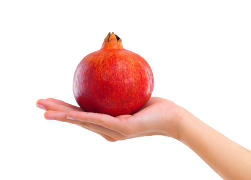 PNG Closeup studio shot of a woman holding up a pomegranate - Powered by Adobe