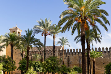 Fototapeta na wymiar Alcazar of the Christian Monarchs, Alcázar de los Reyes Cristianos, Cordoba, Andalusia, Spain