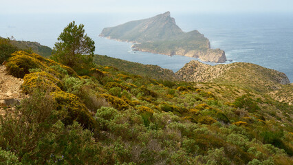 das berühmte Dracheninsel gesehen von der Tramuntana Langstrecken Wanderweg an der Küste von Mallorca im Frühling