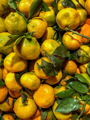 Ripe oranges lie on top of each other.  The oranges are mixed on top of each other in a coop plan.  Ripe oranges background.