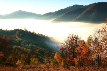 autumn morning scenery, nature colorful background, Carpathians mountains, Ukraine, Europe	