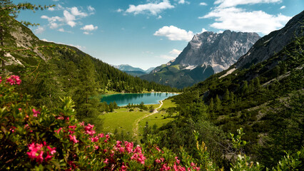 wundeerschönes Szene mit Alpenrosen, Seebensee und Wetterstein Massiv bei Kaiserwetter im Sommer