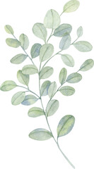 Watercolor Foliage leaf garden Hand drawn