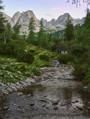 betörende Berglandschaft mit hohen Fichten und Berg Bach mit Kristall klarem Wasser nähe Seeben See und Coburger Hütte in Tirol, Österreich, Alpen