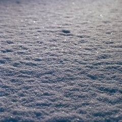 Snowy Morning