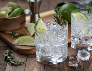 Gin and tonic cocktail with lime. rosemary and ice