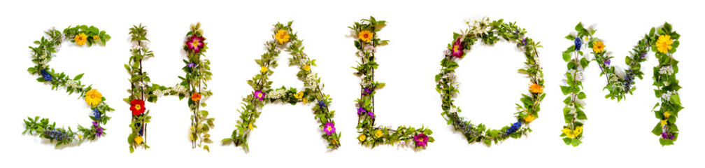 Blooming Flower Letters Building Hebrew Word Shalom Means Hello