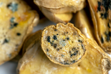 Spoiled and covered with mold sliced ginger