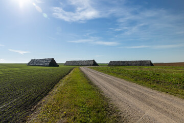 A country road without asphalt or gravel