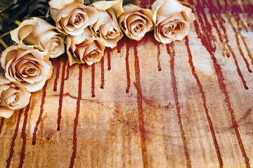 "Bloody" roses- concept for thriller, horror, valentines day or divorce, war of roses