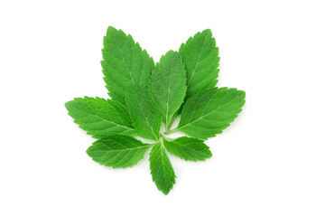 Group spare mint leaf isolated on white background , top view , flat lay.