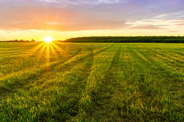 Fototapeta na wymiar Scenic view at beautiful spring sunset in a green shiny field with green grass and golden sun rays, cloudy sky on a background, forest and country road, summer valley landscape