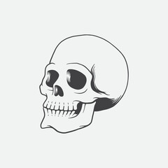 Skull Head Vector Illustration. Design element for shirt design, logo, sign, poster, banner, card