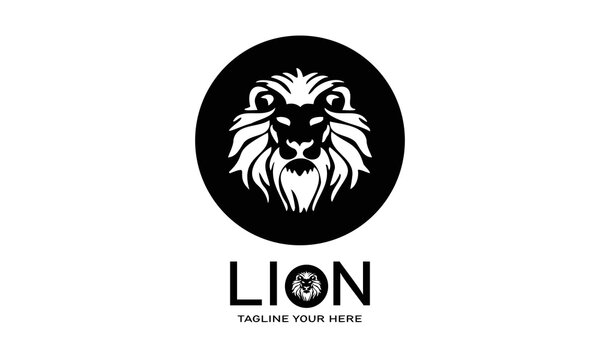 image of an Lion 