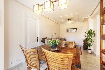 Small living-dining room with a square wooden table with matching chairs and several indoor plants in the room