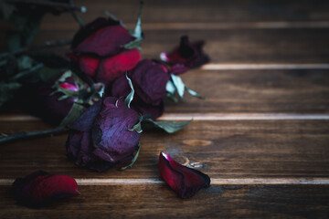 red dry withered roses on a black background flowers. Disappointed with love, sad valentine concept.