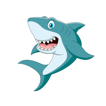 Cute shark cartoon vector illustration