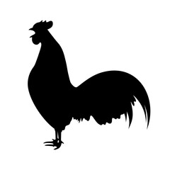 crowing rooster silhouette. chicken farm vector illustration
