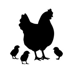 silhouette of Mother hen with cute baby chicks. poultry organic farm. organic farming. natural farming. vector illustration
