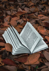 book with autumn leaves