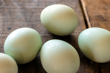 アローカナの青い卵