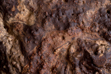 Pieces of chocolate with added cocoa and sugar