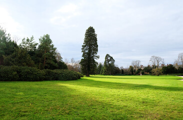 Green lawn public park open space with no people on green grass, beautiful scenery natural background