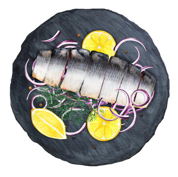 Pickled herring with red onion and dill on black plate. Watercolor illustration
