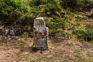 Pilgrimage Way Marking Stone Post with number 199 engraved