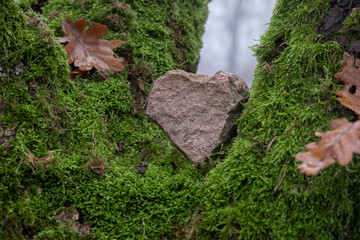 Hearth shaped stone over a bed of moss
