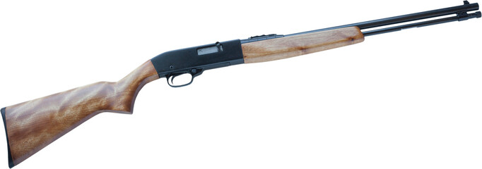 Semi-auto rifle with a wood stock