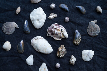 Closeup of seashells and rocks on black baground. 