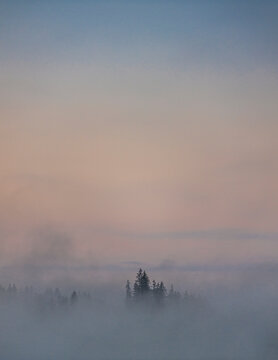 Misty Morning