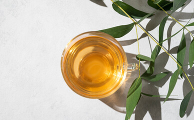 Fragrant herbal tea in a glass cup on a white background with eucalyptus branches and a hard shade. The concept of a healthy drink for breakfast.
