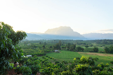 Naklejka premium Scenery view, Doi Luang Chiang Dao, Chiang Dao District, Chiang Mai Province